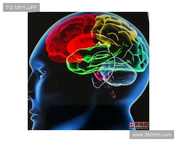 深圳乒乓球队的战术解析与转换体系探讨 深圳乒乓球队的战术解析与转换体系探讨