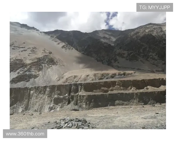 深度对话：探索张敏在和平精英中的成长与挑战之路